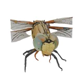 3D-Modell des Kopfes der Großlibelle Aeshna grandis mit großen Augen und detaillierten Fühlern, auf weißem Hintergrund