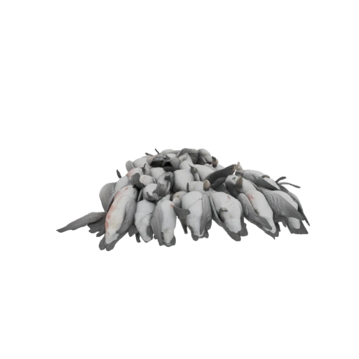 Pile of Snow Geese Decoys