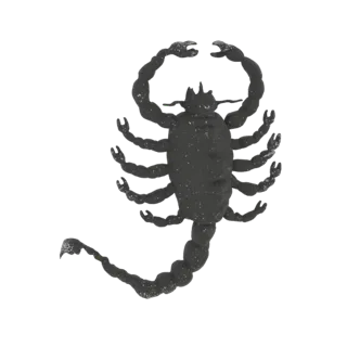 Un rendering 3D di uno scorpione nero con superficie testurizzata, le chele sollevate e la coda curva.
