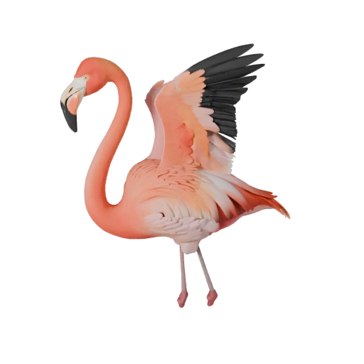 Modelo 3D de Flamengo Realista - Asset PBR Rigged para Jogos | PBR