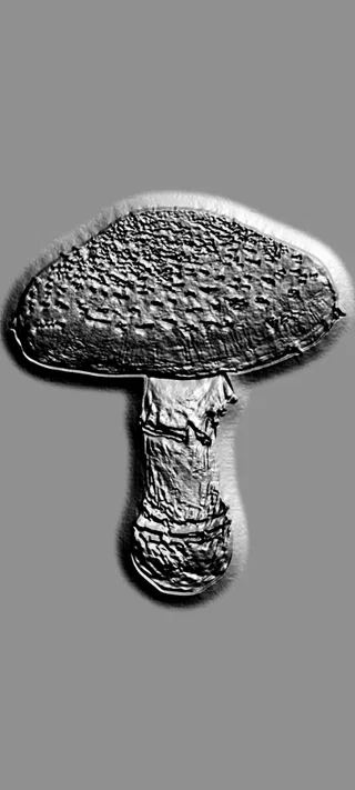 Modello 3D di bassorilievo di fungo in stile incisione, con texture dettagliata del cappello e del gambo su sfondo grigio.