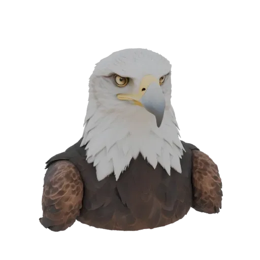 3D Modell Adlerkopf mit weißem Gefieder am Kopf und braunem am Körper, mit gelben Augen und grauem Schnabel.