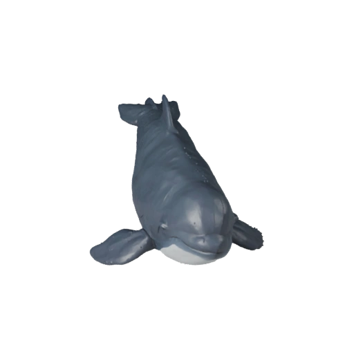 Modello 3D Balena Beluga Realistico - Asset PBR Rigged per Giochi