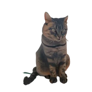 Modelo 3D de um gato malhado sentado, olhando para o lado com fio verde perto da cauda.