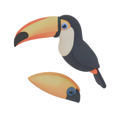 3D Toucan Model Without Beak & Separate Beak