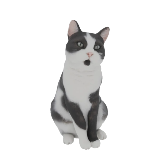 Surprised Black and White Cat 3D Model