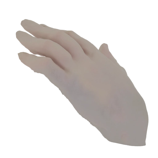 3D Model of a Human Hand