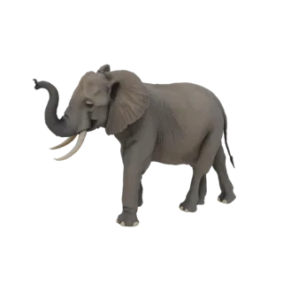 Un modelo 3D de un majestuoso elefante africano de pie con la trompa levantada, mostrando su detallada textura de piel y colm