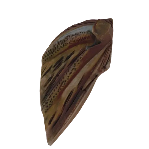 3D model of a carved wooden feather with detailed natural patterns and a rustic finish, isolated on a white background.
