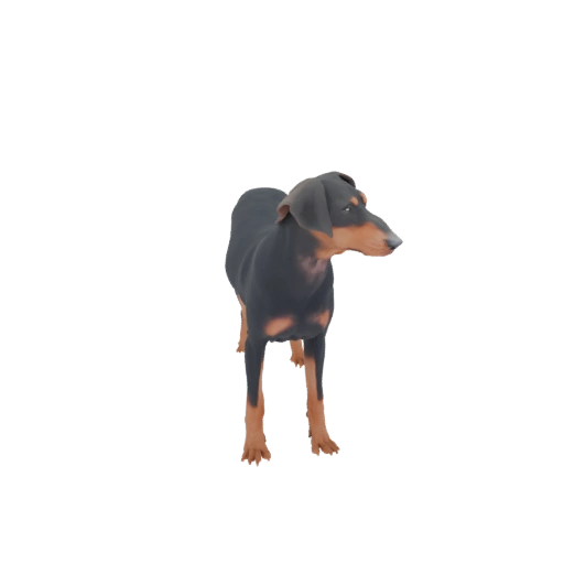 Doberman Pinscher Standing 3D Model