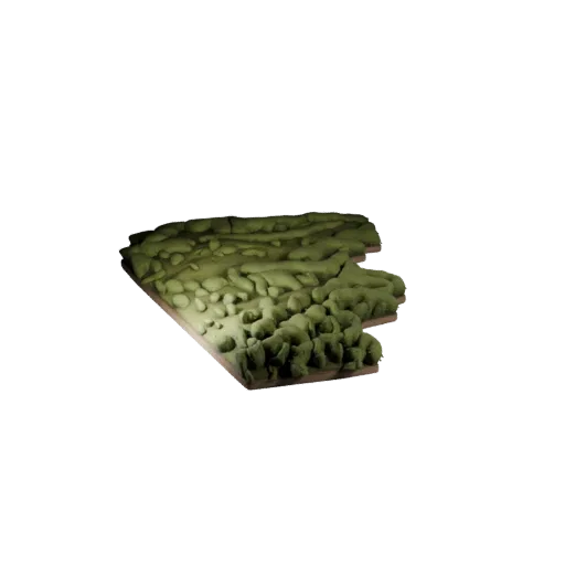 Savanna Grassland Biome 3D model, stylized isometric environment render, showing terrain layers, terrain detail.