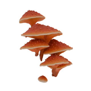 Un rendering 3D di un grappolo di vibranti funghi arancioni con cappelli texturizzati e lamelle visibili, su uno sfondo bianc