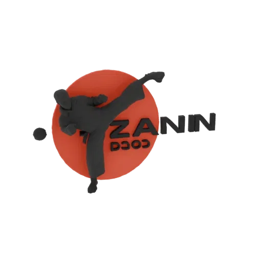 3D model of a black karate fighter in a dynamic kicking pose, with 'ZANIN COCO' text on a red circular background.