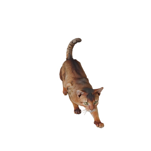 Modèle 3D de Chat Abyssin pour Unity - Asset prêt pour le jeu, FBX | PBR
