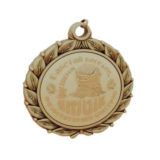 Best Employee Medal 3D Model