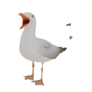 3D model of a white seagull with its beak wide open, appearing to scream, against a white background.