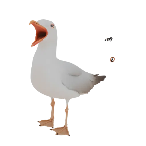 3D model of a white seagull with its beak wide open, appearing to scream, against a white background.