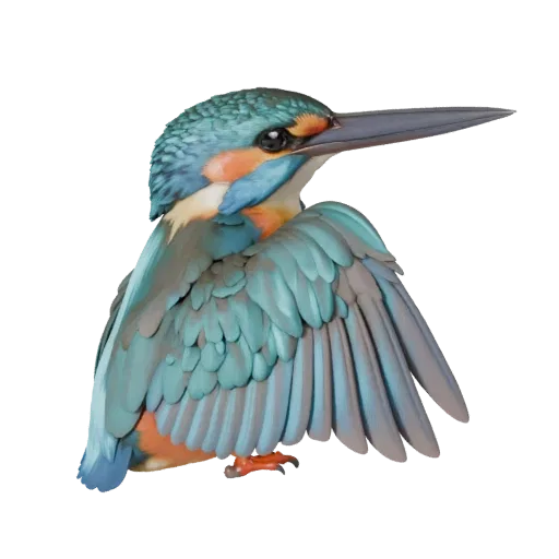 Kingfisher 3D Model for Blender - PBR Asset with Textures | PBR