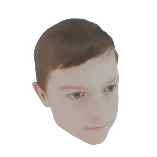 Rendering 3D della testa di un ragazzo giovane con capelli castani e occhi verdi, rivolto leggermente a destra.