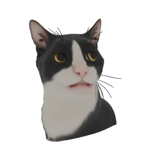 A 3D render of a black and white tuxedo cat with yellow eyes, looking alert and curious, against a white background.