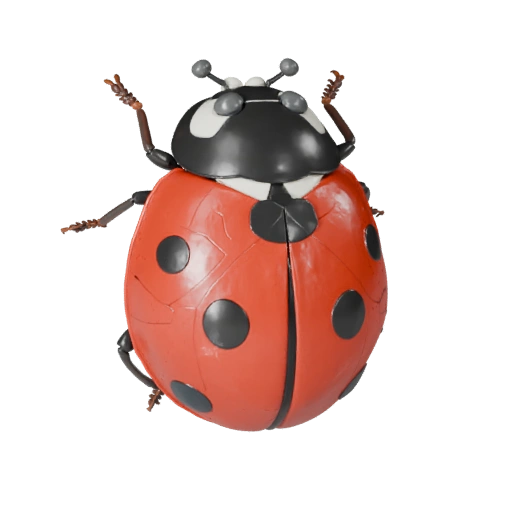 Realistischer Marienkäfer 3D Modell - Rigged PBR Asset für Spiele | PBR
