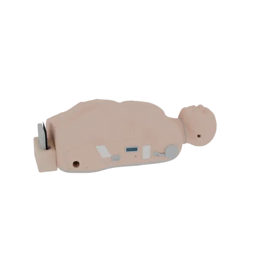 Field CPR Torso Trainer 3D model, three-quarter front view, AR viewer studio render, showing material detail and scale.