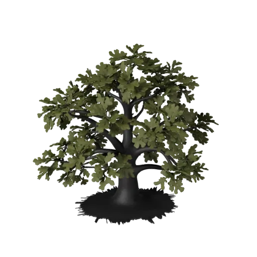 Cluster di Querce Modello 3D Realistico, rendering ambientale a tre quarti, che mostra cluster di foglie, dettagli del terren
