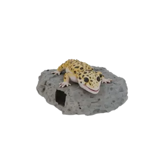 Modelo 3D de refugio para eublepharis en forma de piedra natural con entrada redonda, sobre una piedra gris yace una figura d