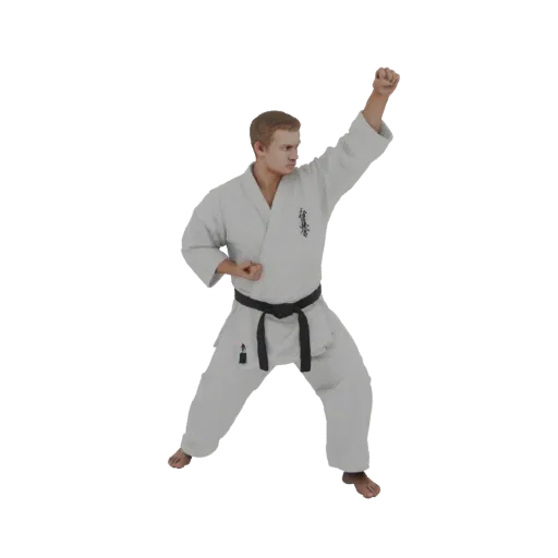 3D model of a male karateka in a white gi and black belt, performing a dynamic ready stance with one fist raised.