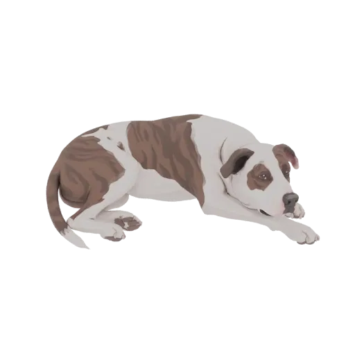 Modelo 3D de perro Pitbull atigrado y blanco tumbado, con cabeza apoyada y mirando al espectador.