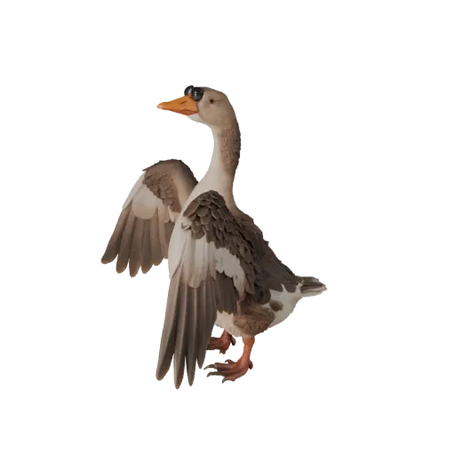 Modelo 3D Realistic Goose, render de vida selvagem em vista lateral, asset animal pronto para animação com direção de penas,