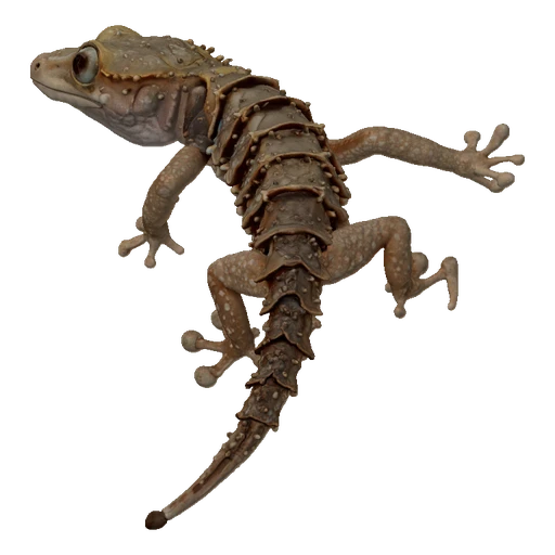 Segmented Gecko with Articulated Tail