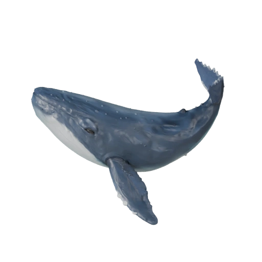 Schwertwal 3D-Modell für Blender - PBR-Asset mit Texturen