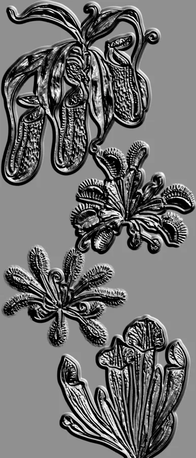 Modèle 3D d'un bas-relief représentant des plantes carnivores (Vénus attrape-mouche, plante-pichet, Sarracénie) dans un style