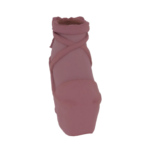 Pink Ballet Slipper