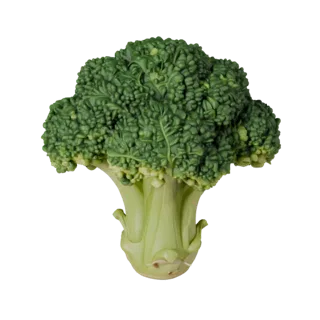 Organic Broccoli Head Printable 3D model, isometric STL render, showing leaf veins, clear vegetable silhouettes.