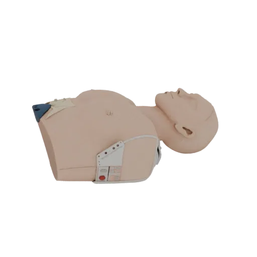 Field CPR Torso Trainer Realistic 3D model, three-quarter studio render, showing neutral plastics, form detail.