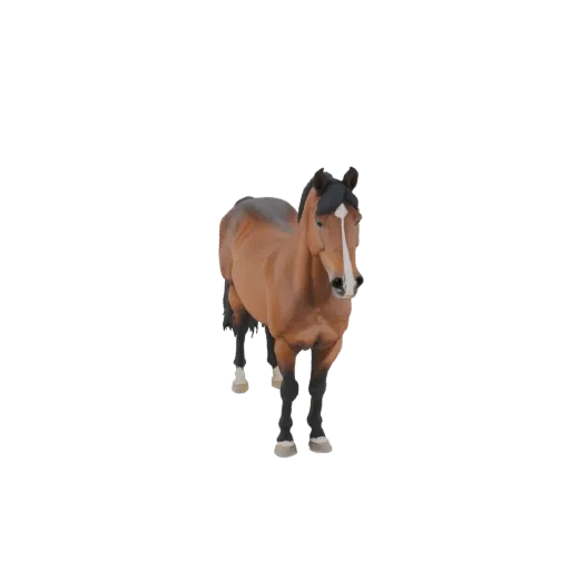 3D model of a brown horse standing, facing forward, with a white blaze on its face and dark mane.