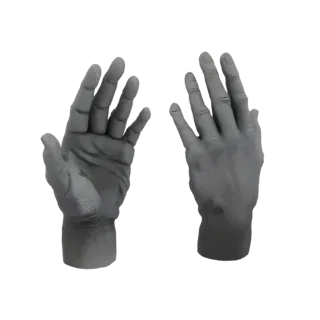 A 3D render of two realistic human hands, one facing palm-up and the other palm-down, against a white background.