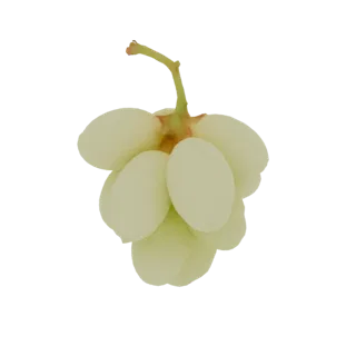 Un modelo 3D realista de un racimo de uvas blancas regordetas y translúcidas en una vid, aislado sobre un fondo negro.