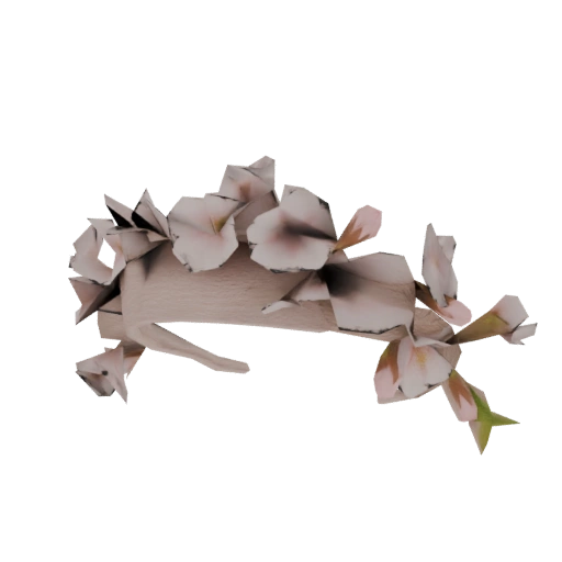 Sakura Blossom Flower Crown