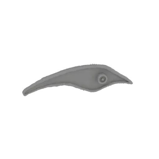 3D model of a stylized fish with a detailed eye, presented against a white background.