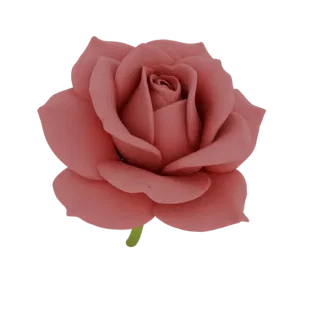 3D-Modell einer rosa Rose mit geöffneten Blütenblättern und grünem Stiel auf weißem Hintergrund