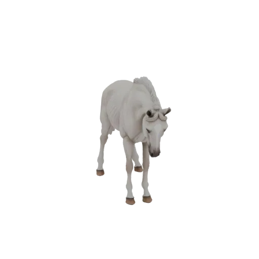 Modelo 3D detallado caballo blanco, musculatura y crin visibles.