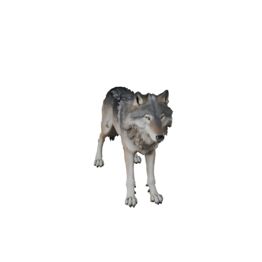 Modèle 3D de Loup Gris pour Blender - Asset PBR avec Textures | PBR