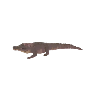 A 3D model of a pale-pink alligator, viewed from the side, with its mouth slightly open and legs positioned for walking.