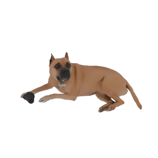Un modello 3D di un pitbull marrone sdraiato che gioca con un giocattolo nero in zampa.