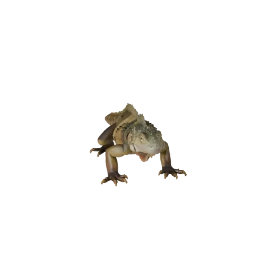 Modelo 3D de Iguana, render de vida silvestre en vista lateral, activo animal listo para Blender con pliegues de piel, formas