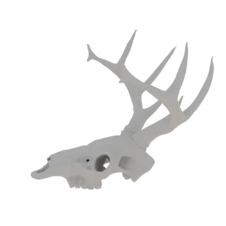 Un rendering 3D di un cranio di cervo bianco con corna grandi e ramificate su uno sfondo bianco semplice.