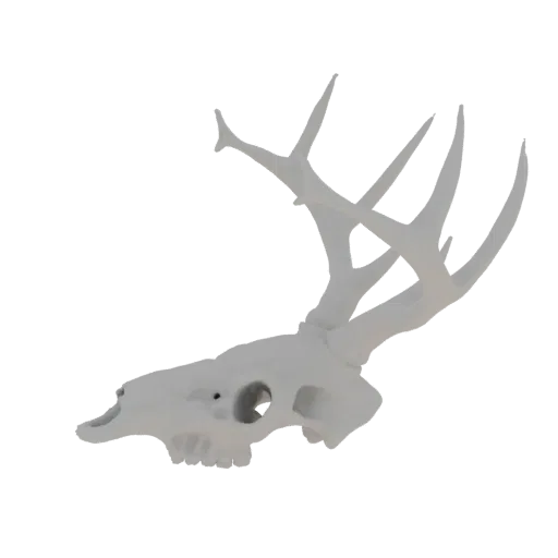 A 3D render of a white deer skull with large, branching antlers against a plain white background.